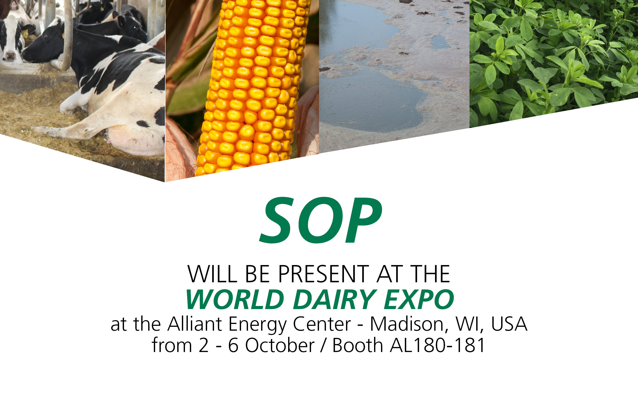 SOP at the World Dairy Expo, October 2018